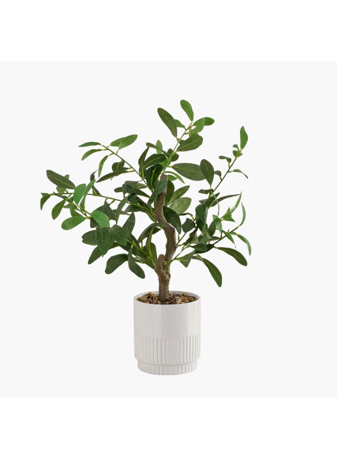 Home Box Evergreen Artificial Olive Tree for Home Decor - Image 4